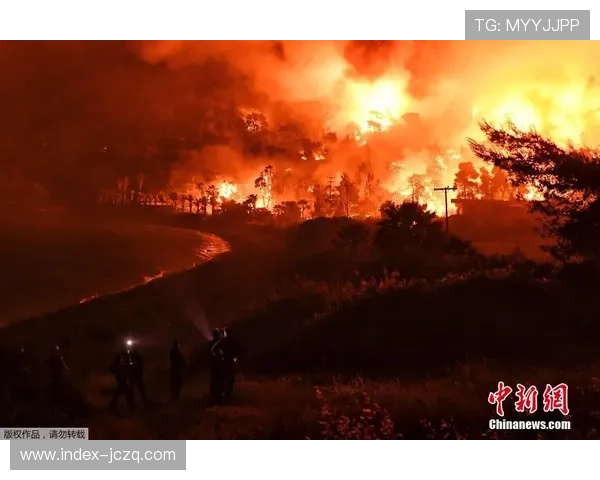 开云体育代理怎么拉客避坑平台对比防骗 开云体育代理怎么拉客避坑平台对比防骗