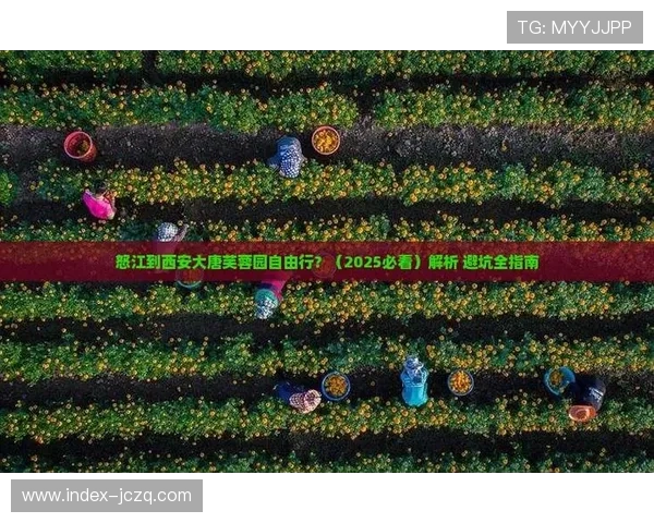 足球彩票与数字高频玩法防骗避坑指南